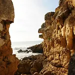 Rustica Villa